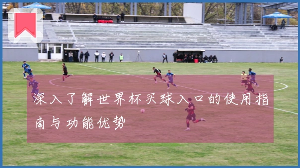 深入了解世界杯买球入口的使用指南与功能优势