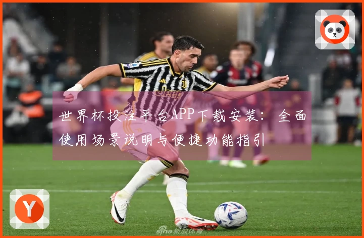 世界杯投注平台APP下载安装：全面使用场景说明与便捷功能指引