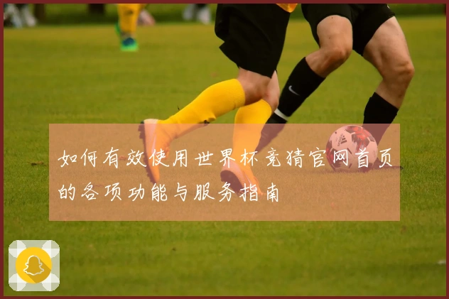 如何有效使用世界杯竞猜官网首页的各项功能与服务指南