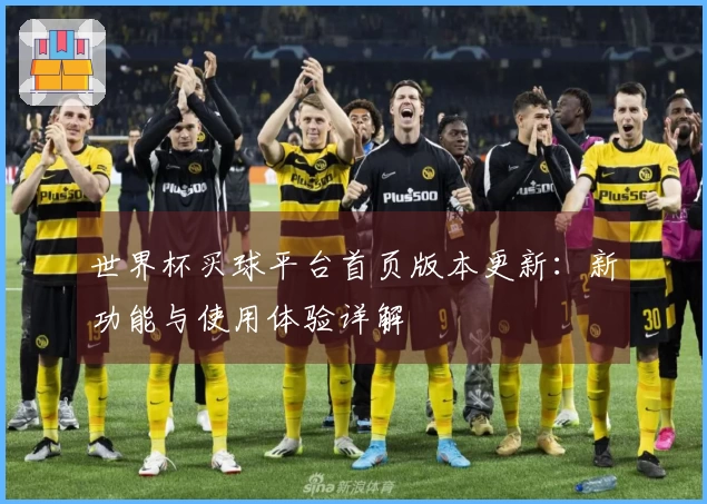 世界杯买球平台首页版本更新:新功能与使用体验详解
