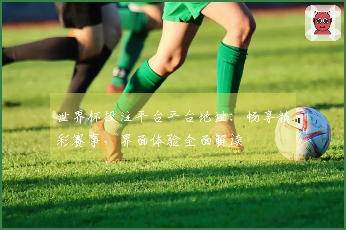 世界杯投注平台平台地址:畅享精彩赛事,界面体验全面解读