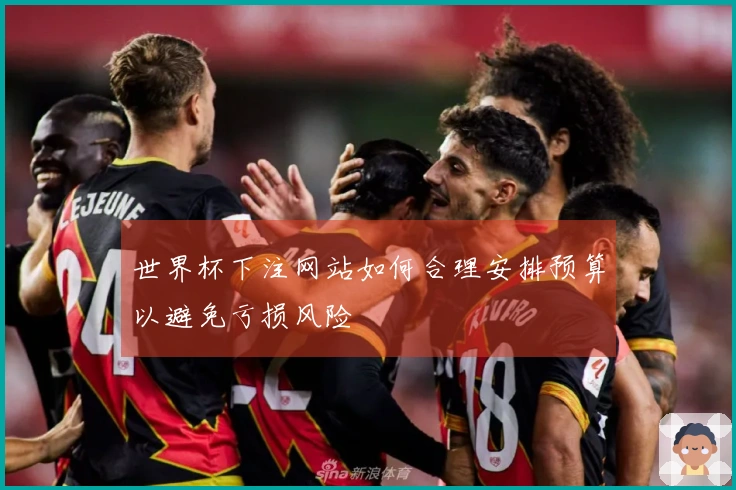 世界杯下注网站如何合理安排预算以避免亏损风险