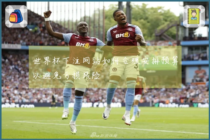 世界杯下注网站如何合理安排预算以避免亏损风险