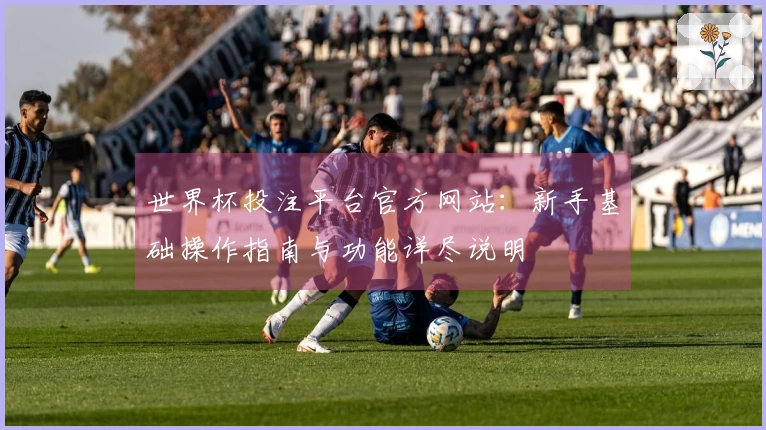 世界杯投注平台官方网站：新手基础操作指南与功能详尽说明