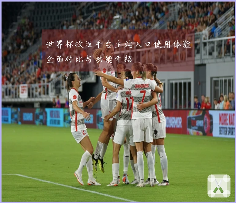 世界杯投注平台主站入口使用体验全面对比与功能介绍