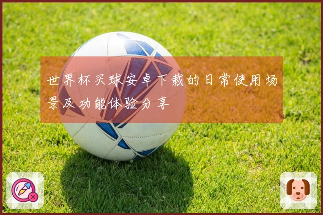 世界杯买球安卓下载的日常使用场景及功能体验分享