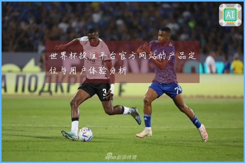 世界杯投注平台官方网站的产品定位与用户体验分析