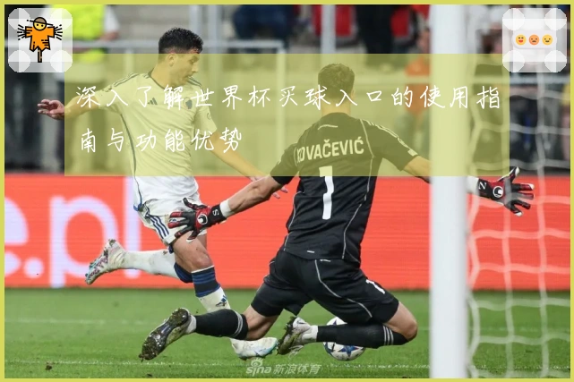 深入了解世界杯买球入口的使用指南与功能优势