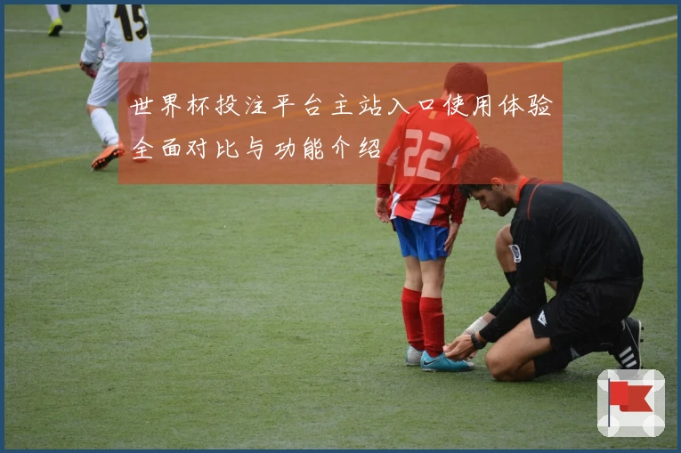 世界杯投注平台主站入口使用体验全面对比与功能介绍