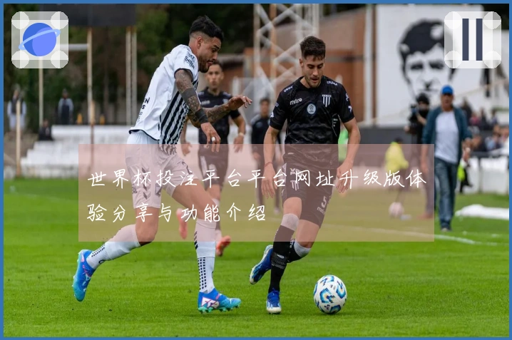 世界杯投注平台平台网址升级版体验分享与功能介绍