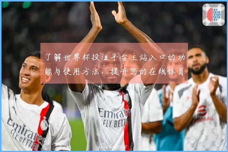 了解世界杯投注平台主站入口的功能与使用方法，提升您的在线体育观看体验