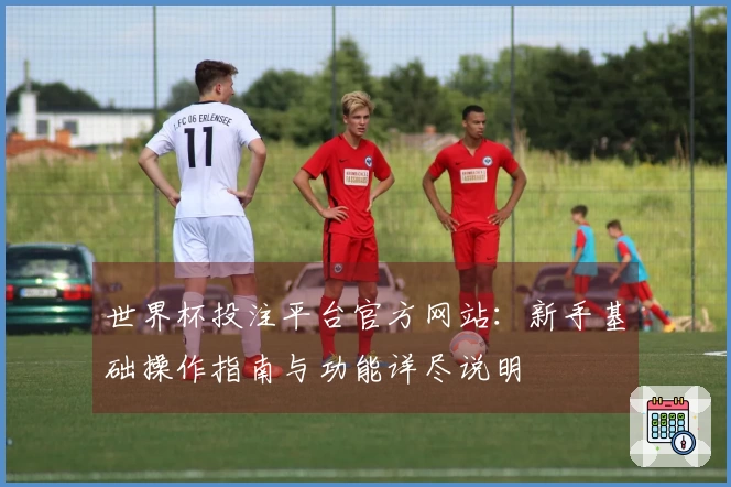 世界杯投注平台官方网站：新手基础操作指南与功能详尽说明