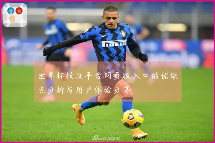 世界杯投注平台网页版入口的优缺点分析与用户体验分享