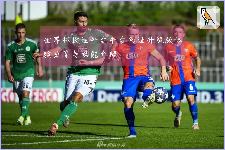 世界杯投注平台平台网址升级版体验分享与功能介绍