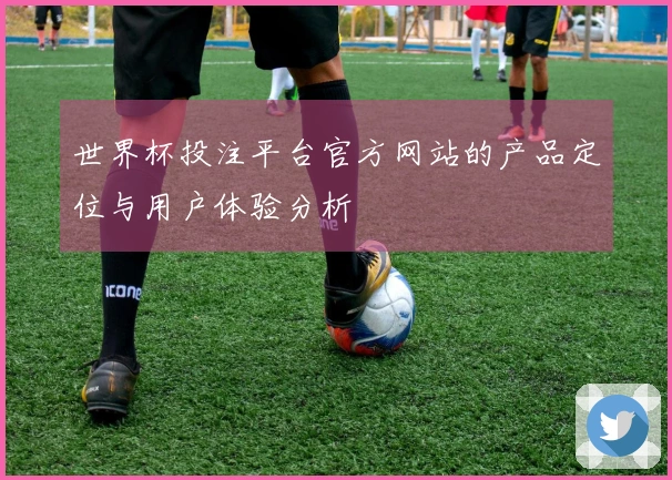 世界杯投注平台官方网站的产品定位与用户体验分析