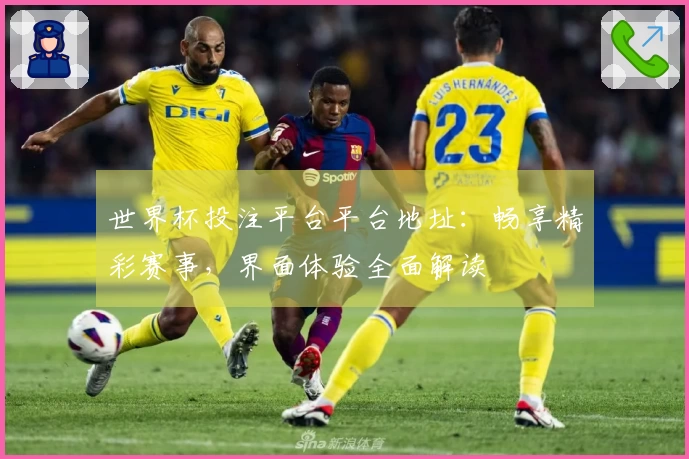 世界杯投注平台平台地址：畅享精彩赛事，界面体验全面解读
