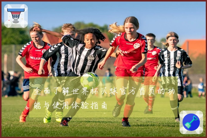 全面了解世界杯买球官方首页的功能与使用体验指南