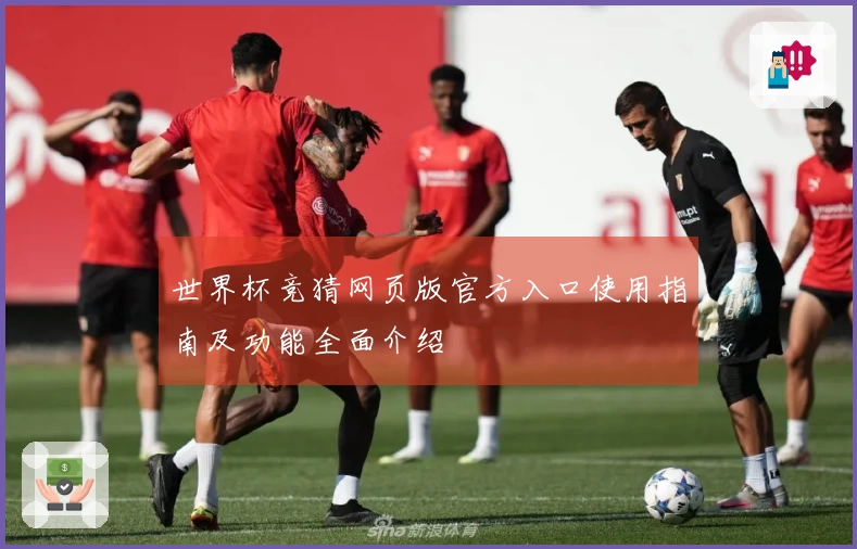世界杯竞猜网页版官方入口使用指南及功能全面介绍